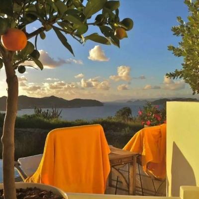 乐鱼·体育中国官方入口